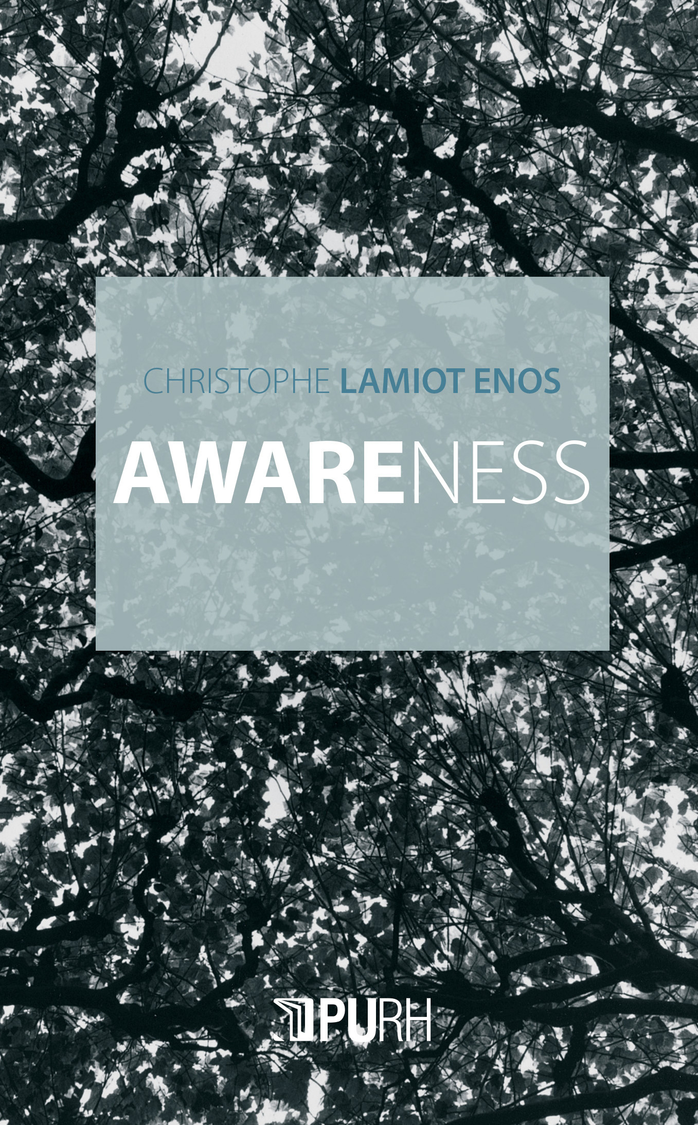 Couverture de l'ouvrage "Awareness"