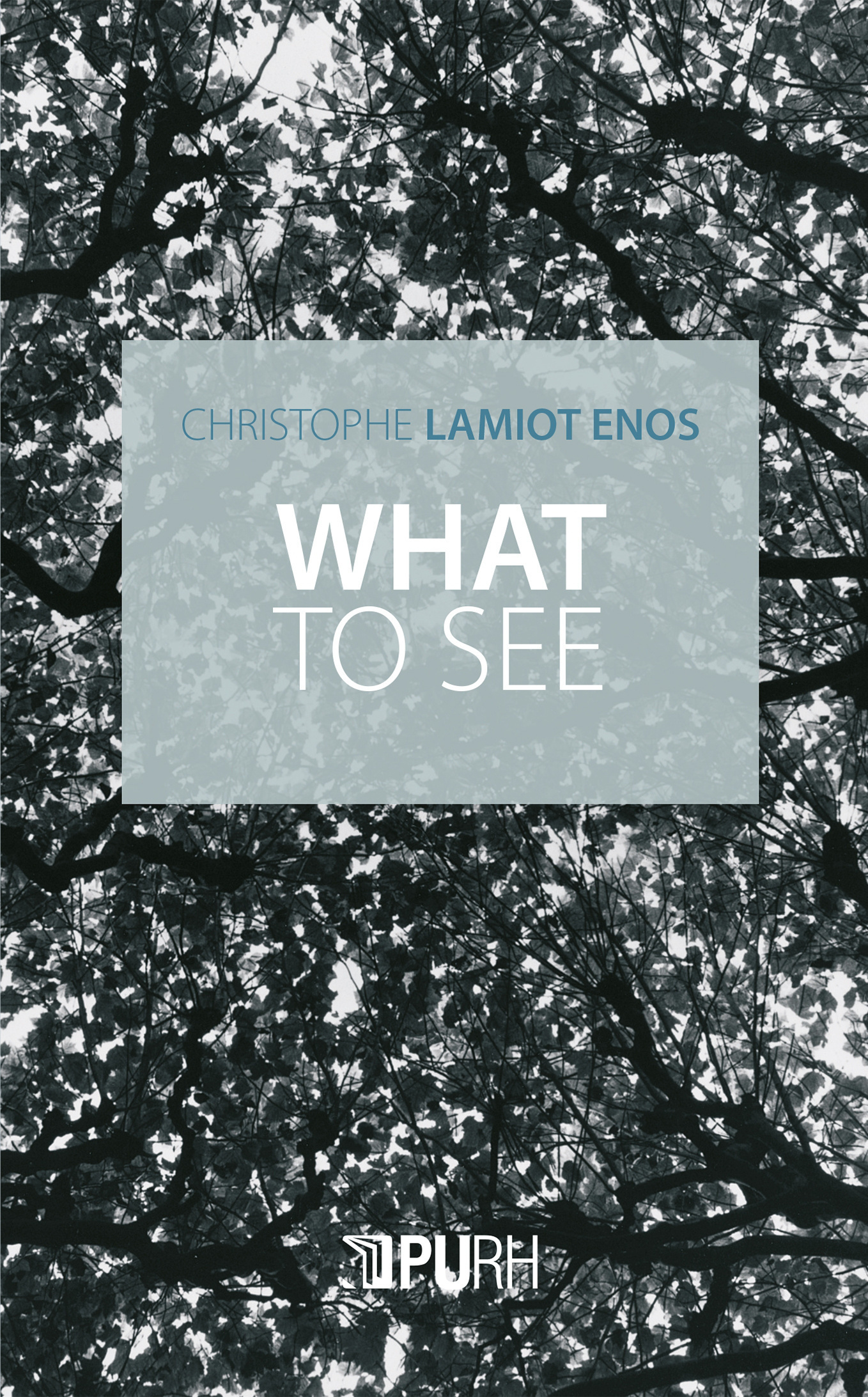 Couverture de l'ouvrage "What to see"